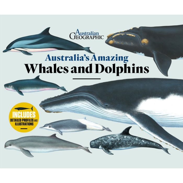 Australia's Amazing Whales and Dolphins