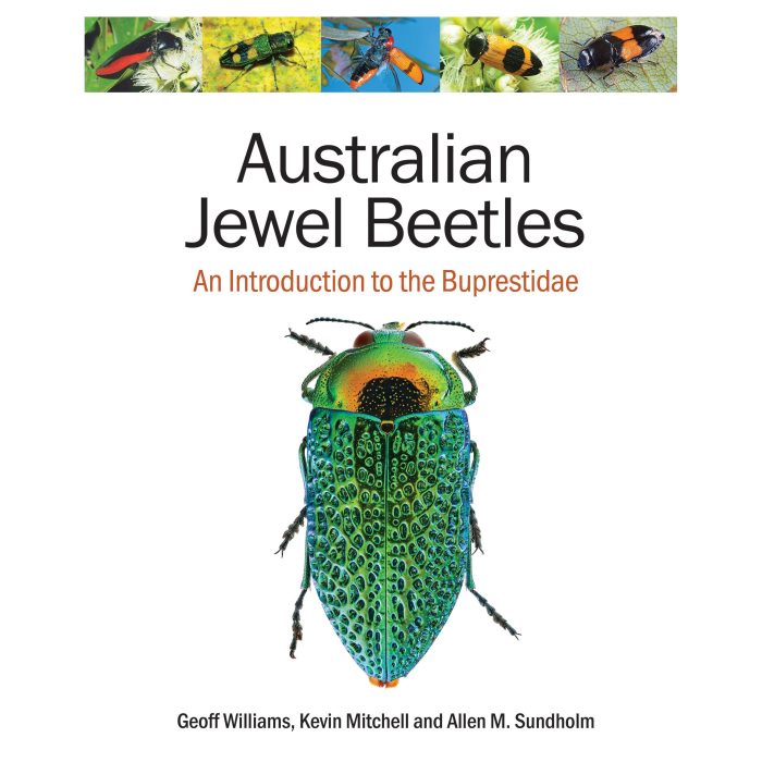 Australian Jewel Beetles - Geoff Williams