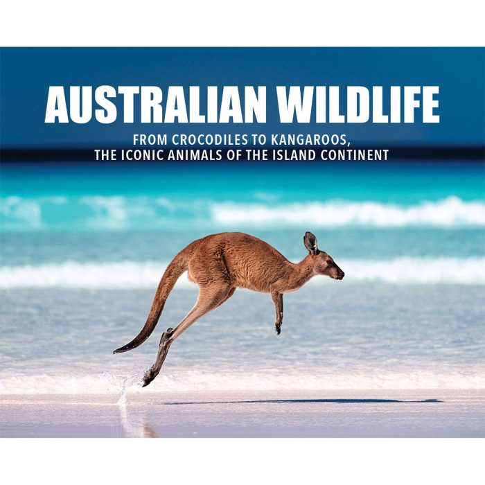 Australian Wildlife