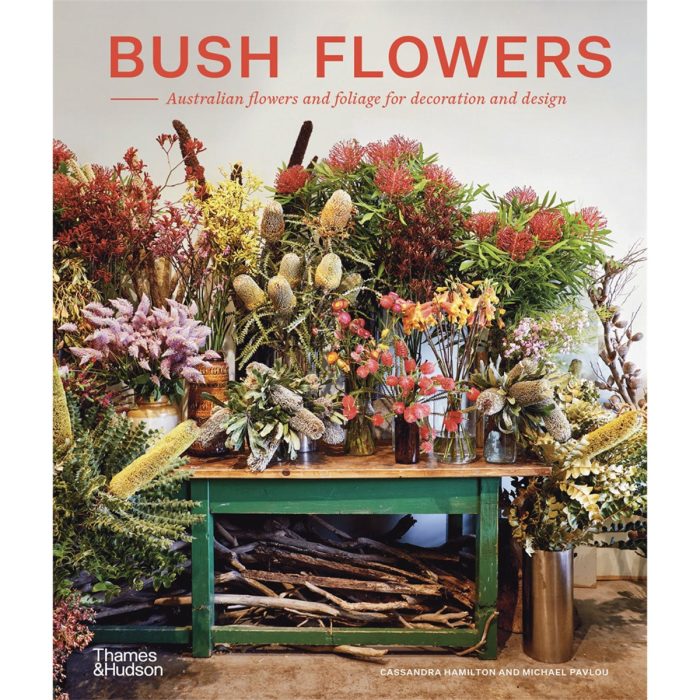 Bush Flowers Australian flowers and foliage for decoration and design