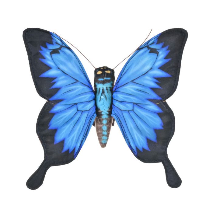 Butterfly Ulysses - Wild Republic