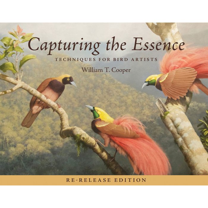 Capturing the Essence