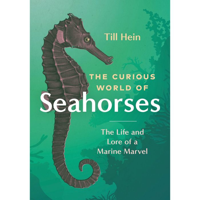 Curious World of Seahorses - Alliance Distribution Services