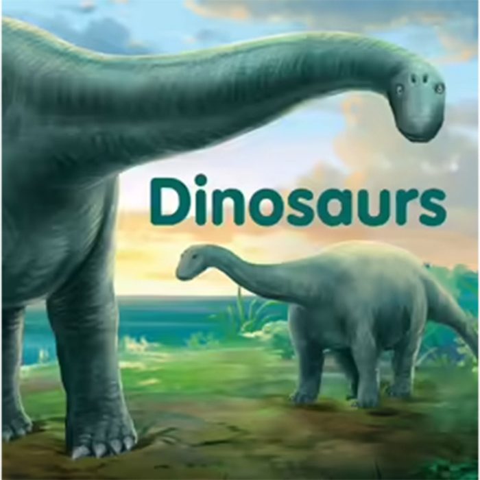 Dinosaurs Board book