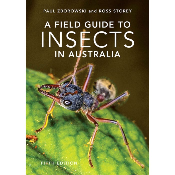 A Field Guide To Insects Of Australia