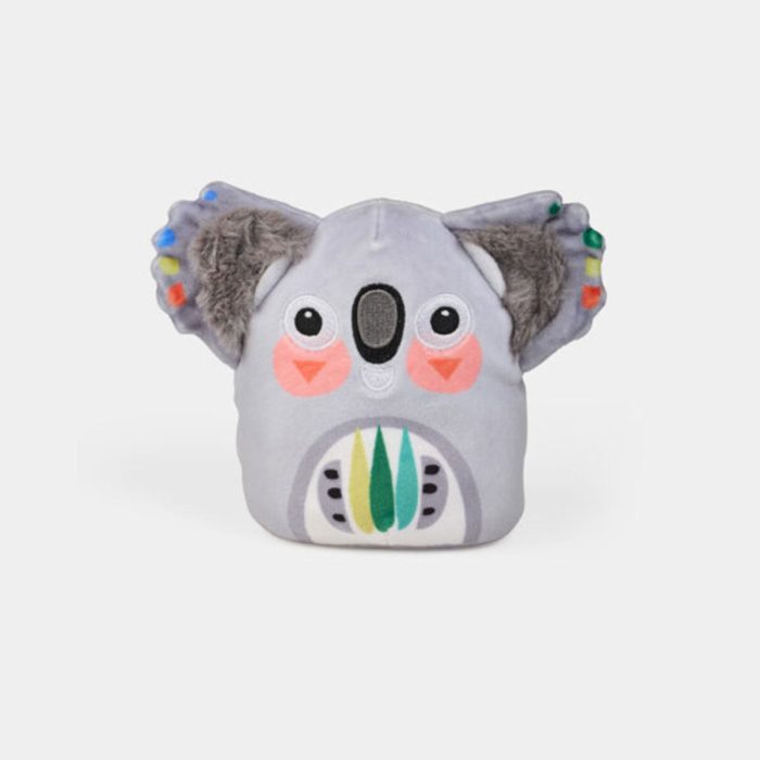 Koala Soft Toy in Box Pete Cromer - Wonderscope