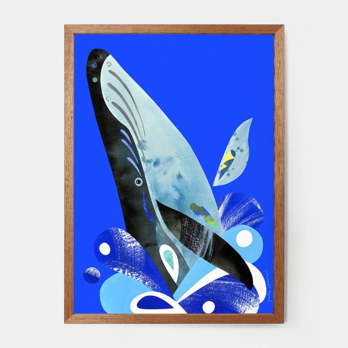 Print Humpback Whale A4 - Pete Cromer