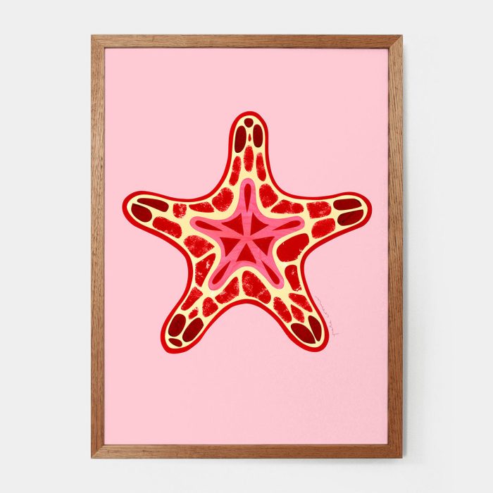 Print Seabiscuit-Starfish A4 - Pete Cromer
