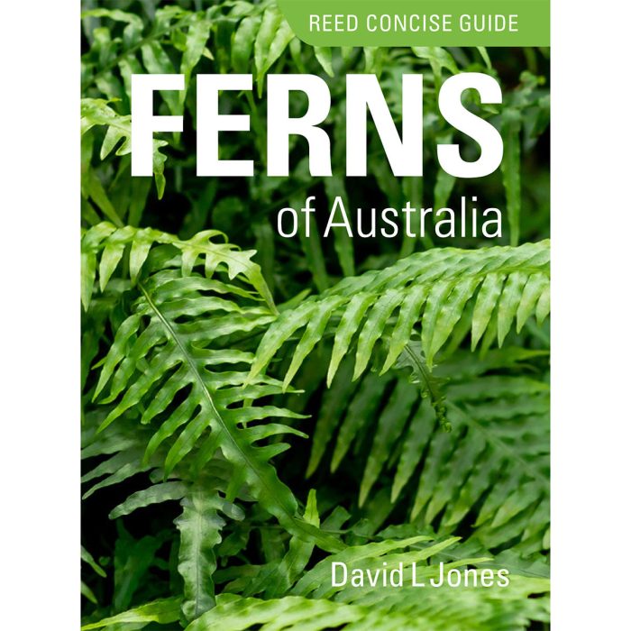 Reed Concise Guide: Ferns of Australia