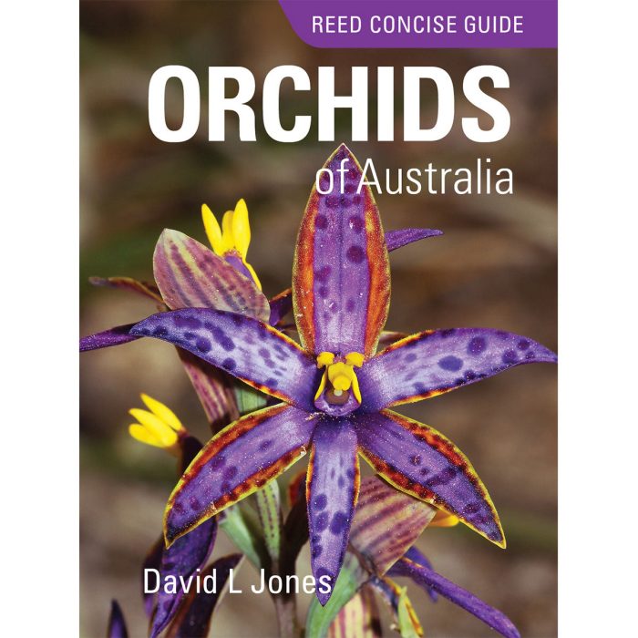 Reed Concise Guide: Orchids of Australia
