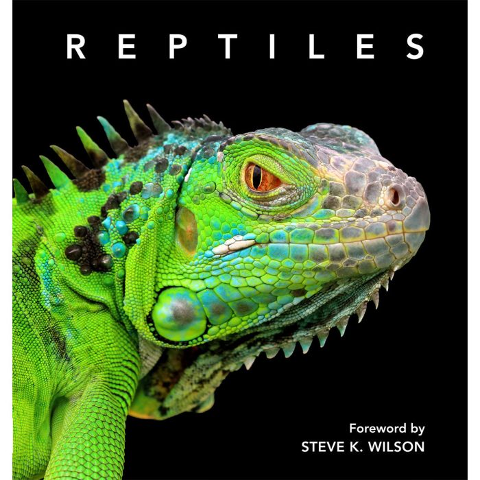 Reptiles Deluxe Series