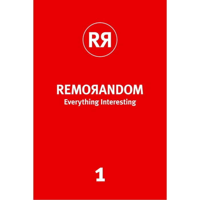 Remorandom Everything Interesting 1 - Remo Giuffre