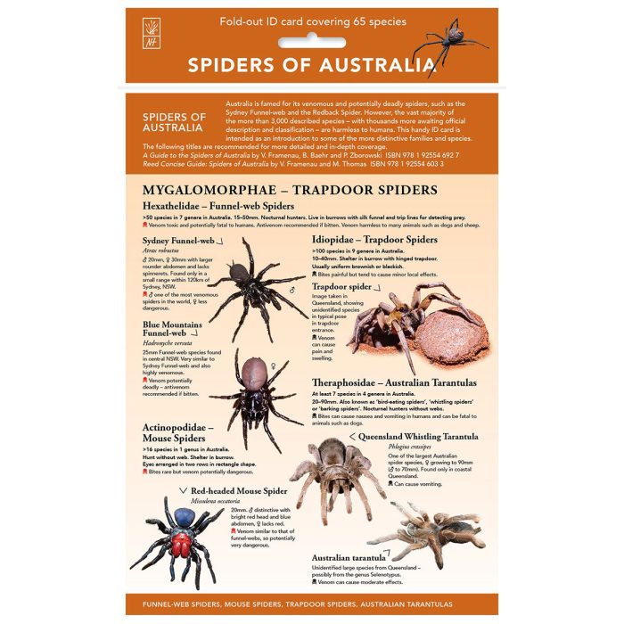 Spiders of Australia Fold Out Sheet