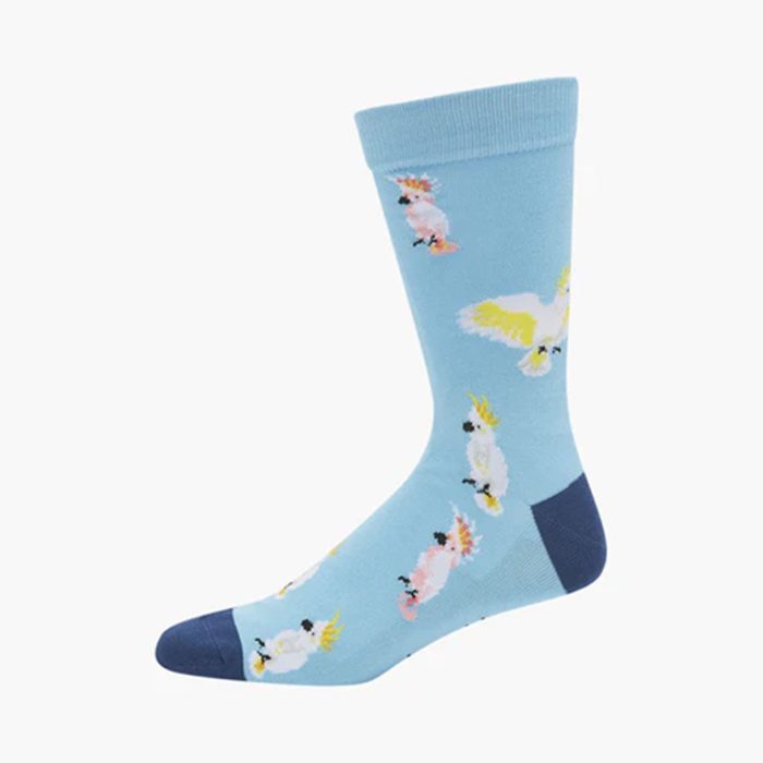 Socks Cockatoo sky Bamboo Mens 7-11 - PussyFoot Socks
