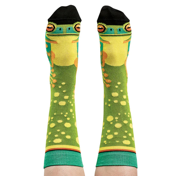 Socks Green Tree Frog 8-11 - WilsonPayne Aust