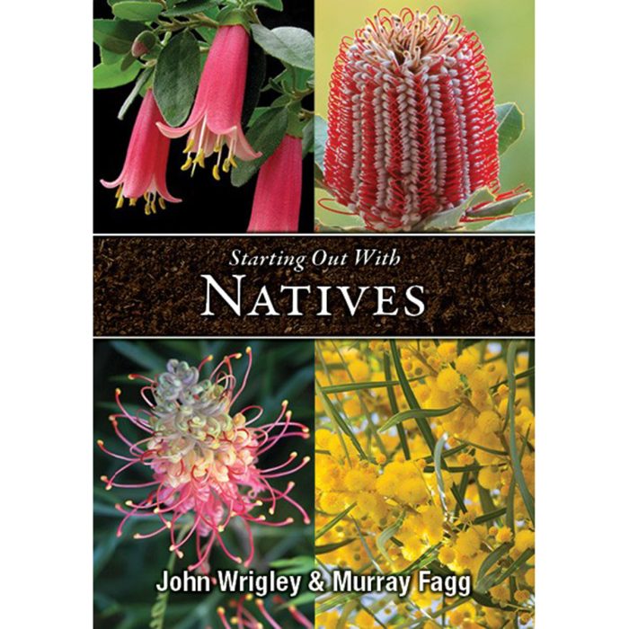 Starting Out With Natives
