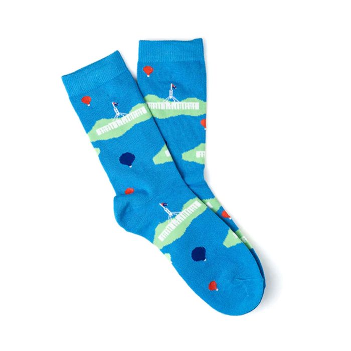 Socks Parliament House Large - Capital Socks