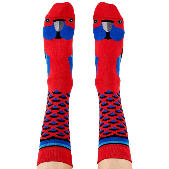 Socks Rosella 8-11 - WilsonPayne Aust