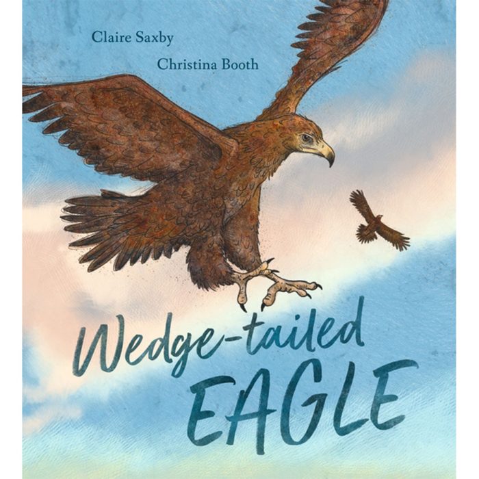 Wedge-Tailed Eagle - Claire Saxby